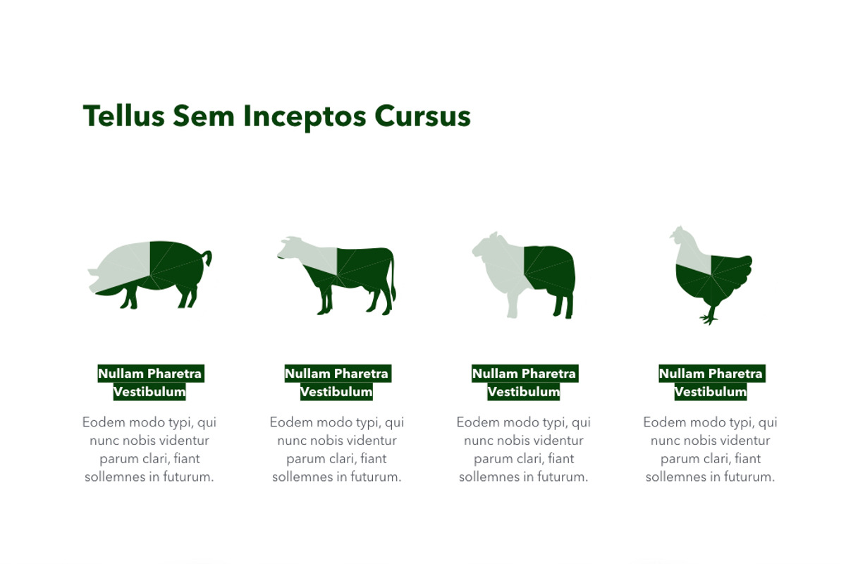 Farming Keynote Template, a Presentation Template by Jumsoft (Photo 7 of 21)