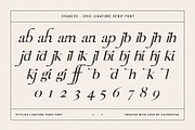 Charles - Ligature Serif Font Family, a Serif Font by SilverStag Type Foundry (Thumbnail 31 of 32)