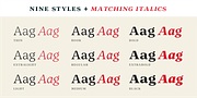 Editora, a Serif Font by Untype (Thumbnail 7 of 12)
