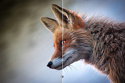83%SALE! Mixed Oil Painting  Actions, an Action Add-On by Jacpot007 (Thumbnail 34 of 54)