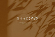 30 Shadow Overlays vol. 03 Plants, a Background Graphic by DESIGN BY nube (Thumbnail 4 of 10)