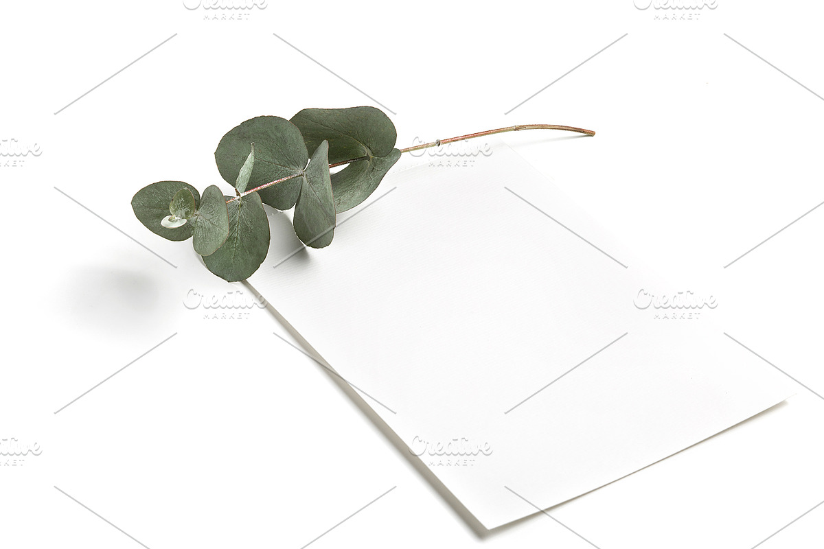 Minimal greeting card mockup set, a Print Template by KateAedon (Photo 3 of 3)
