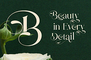 Bulgash, a Serif Font by zaaintype (Thumbnail 4 of 10)