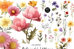 Botanical Wildflowers Clipart Bundle