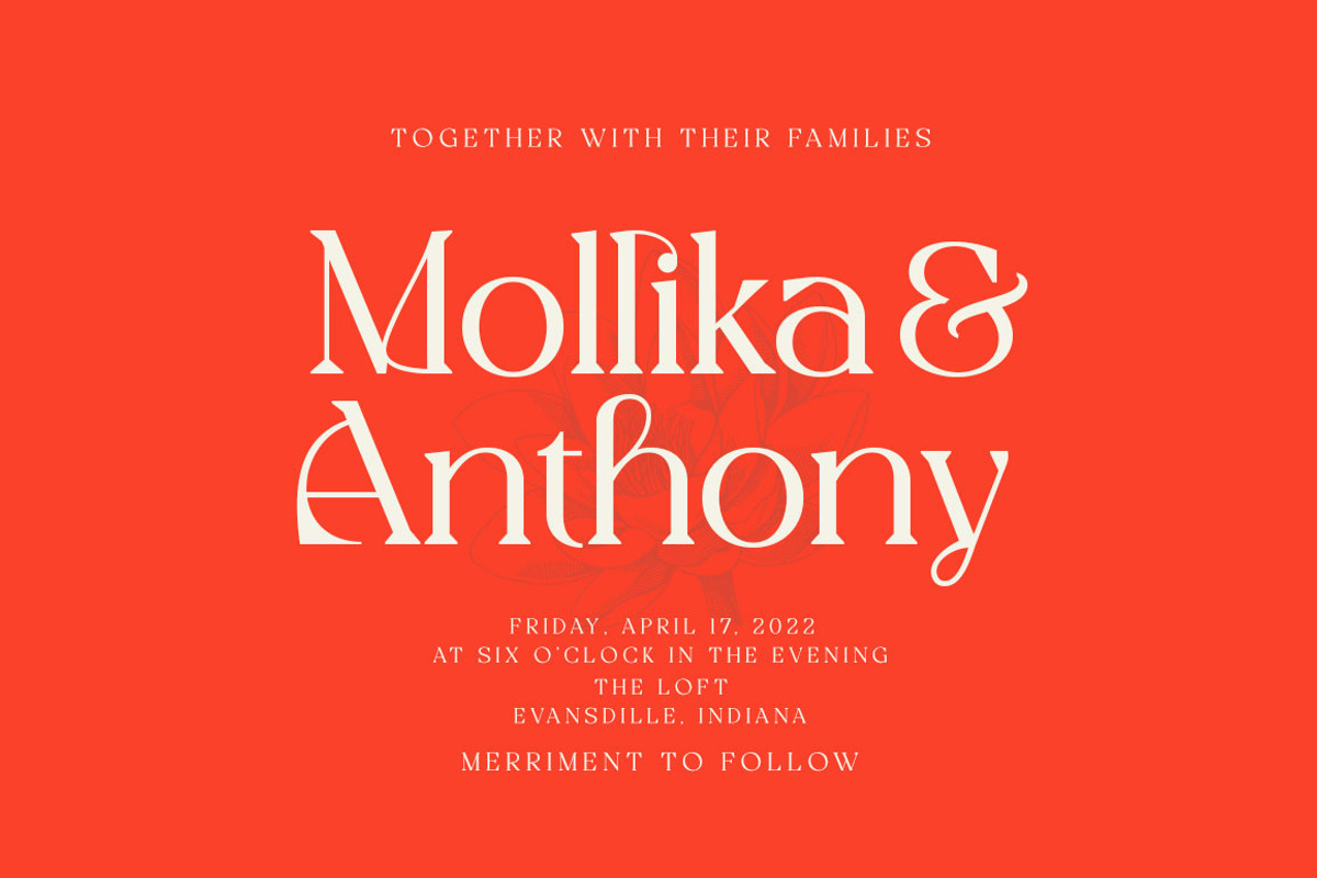 Allogist - Modern Typeface, a Serif Font by Dora Typefoundry (Photo 14 of 15)