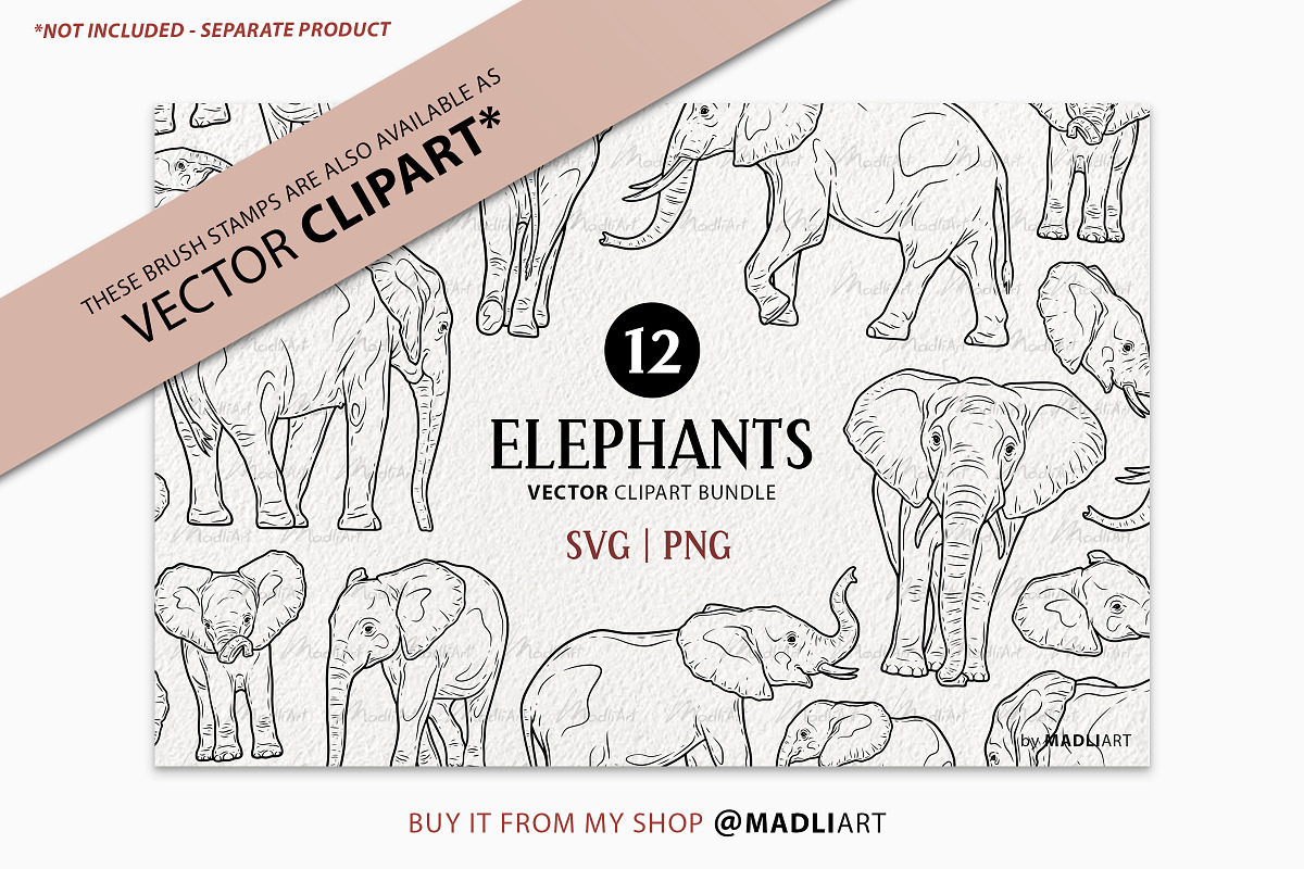 African Elephant Procreate Stamps, a Shape Add-On by MadliArt (Photo 4 of 4)