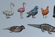 Animals 1, an Animal 3D Model by ithappy (Thumbnail 24 of 32)