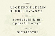Piziza Brush Font, a Serif Font by Creativetacos (Thumbnail 11 of 12)