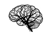 Brain Tree Knowledge Design Bundle, an Illustration by Gaye Art (Thumbnail 18 of 31)