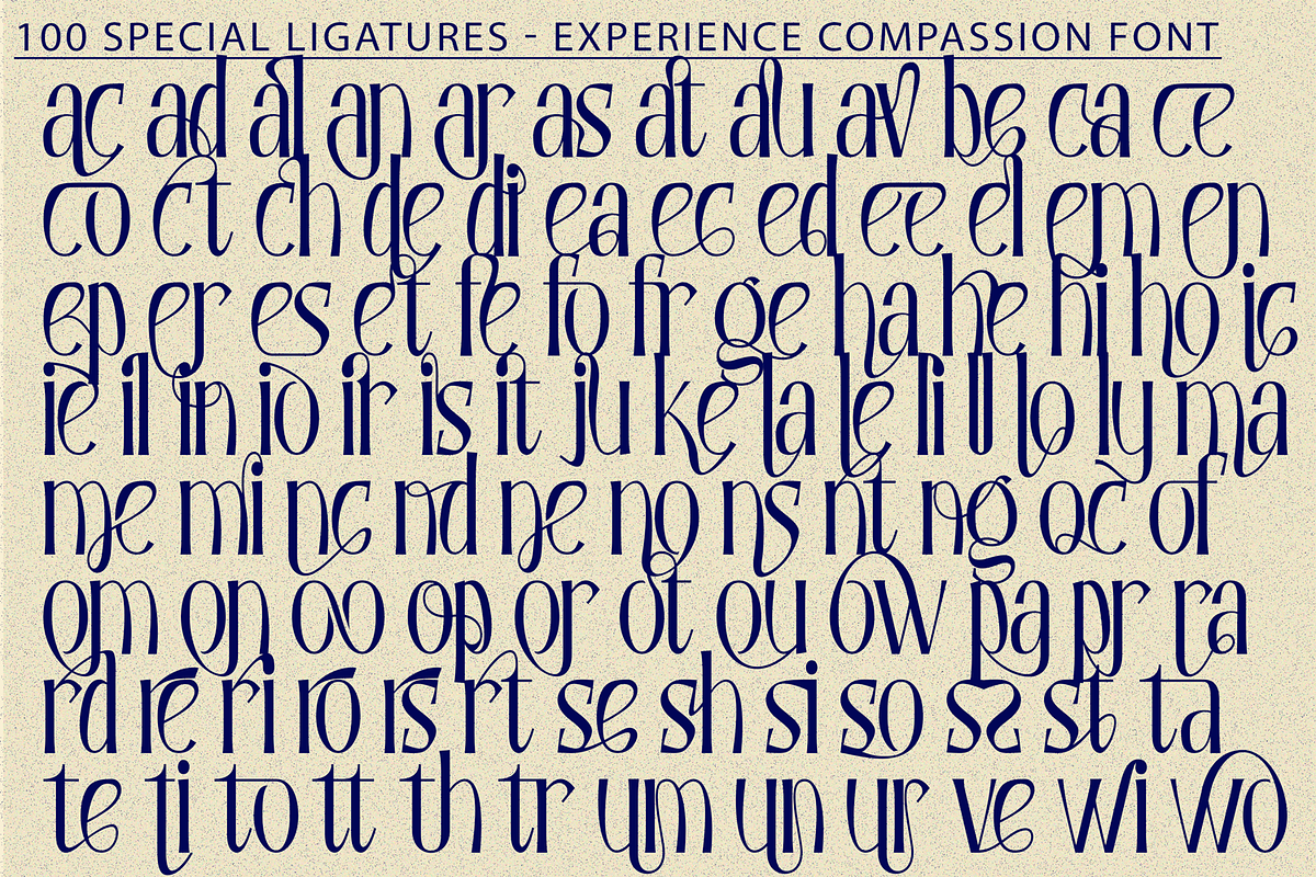 Experience Compassion - Modern Font, a Serif Font by 177Studio (Photo 7 of 8)