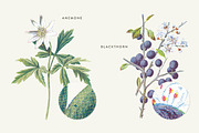 Vintage Flowers Vol.02 - Extra Large, an Illustration by Greta Ivy (Thumbnail 10 of 16)