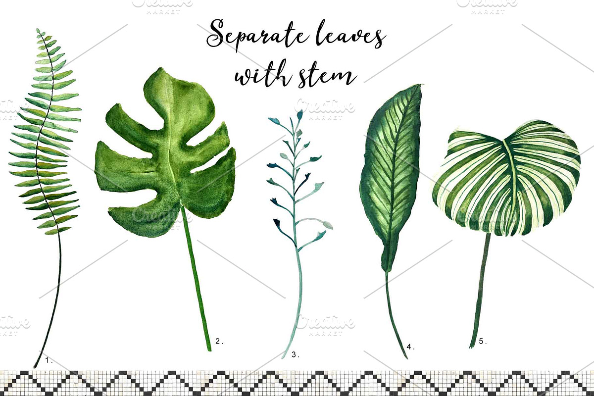Tropical leaves old pharmacy bottles, an Illustration by marie dricot (Photo 8 of 12)
