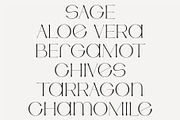 Artemis – Semi-serif Unique Typeface, a Serif Font by Studio Aurora (Thumbnail 3 of 11)