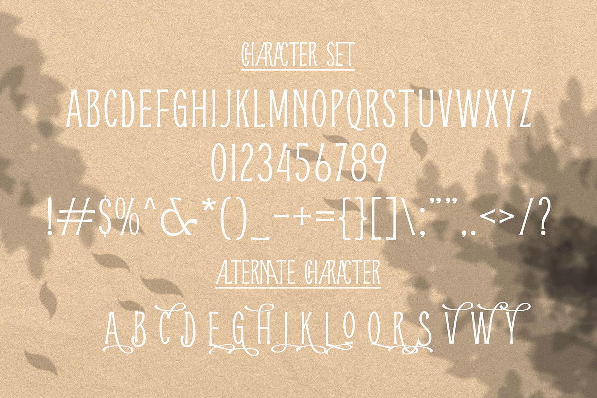 Lasvorga, a Serif Font by saskaratype (Photo 8 of 10)