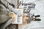La Parisienne Brush Script, a Script Font by Shelly Laslo Illustration (Thumbnail 4 of 8)