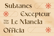 Mariona Luxury Serif Font, a Serif Font by Compaq_Creative (Thumbnail 3 of 15)