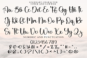 Starford, a Handwritten Font by FreshTypeINK (Thumbnail 4 of 9)