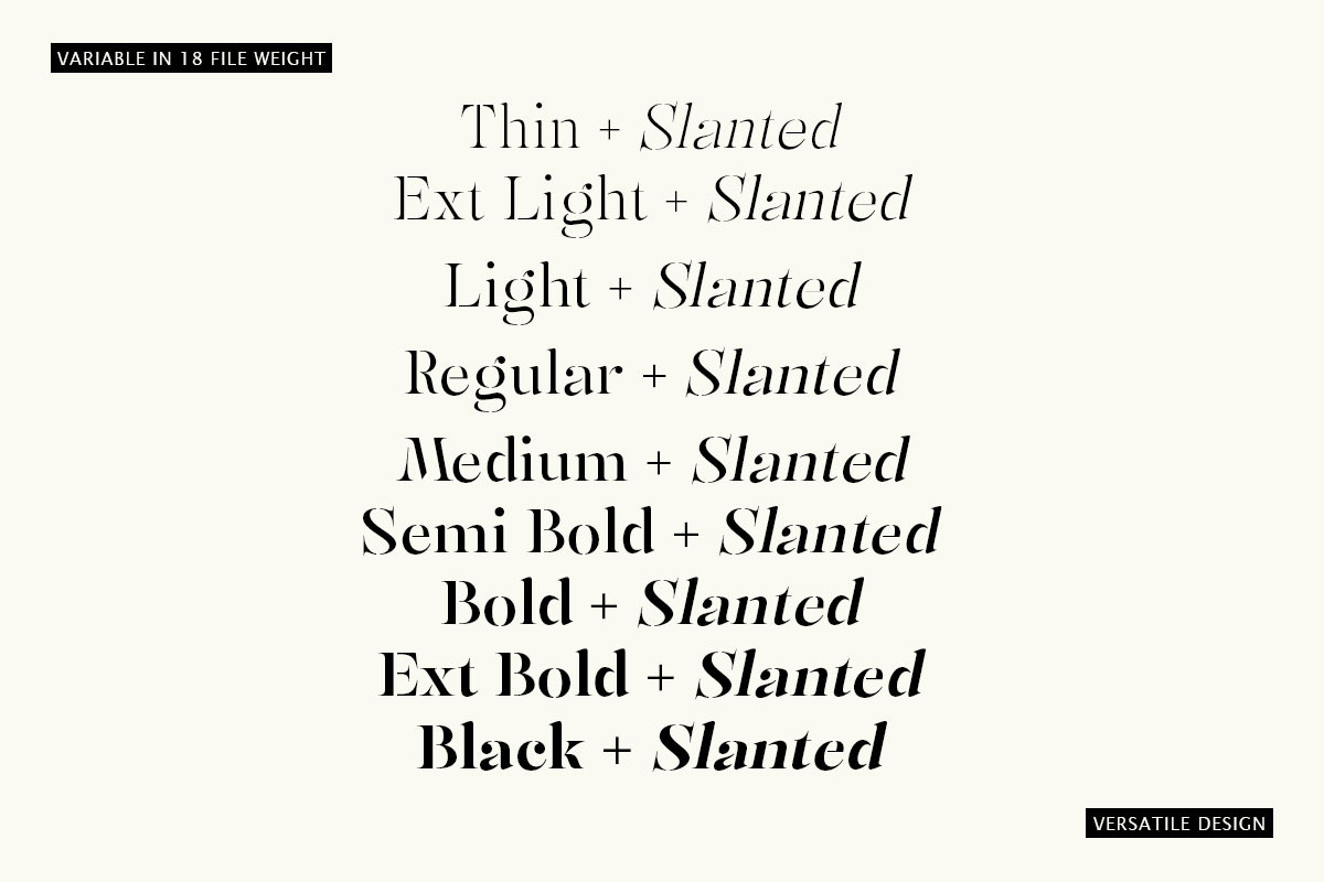 Mulich Serif Display | 18 Fonts, a Serif Font by Skinny Type (Photo 4 of 15)