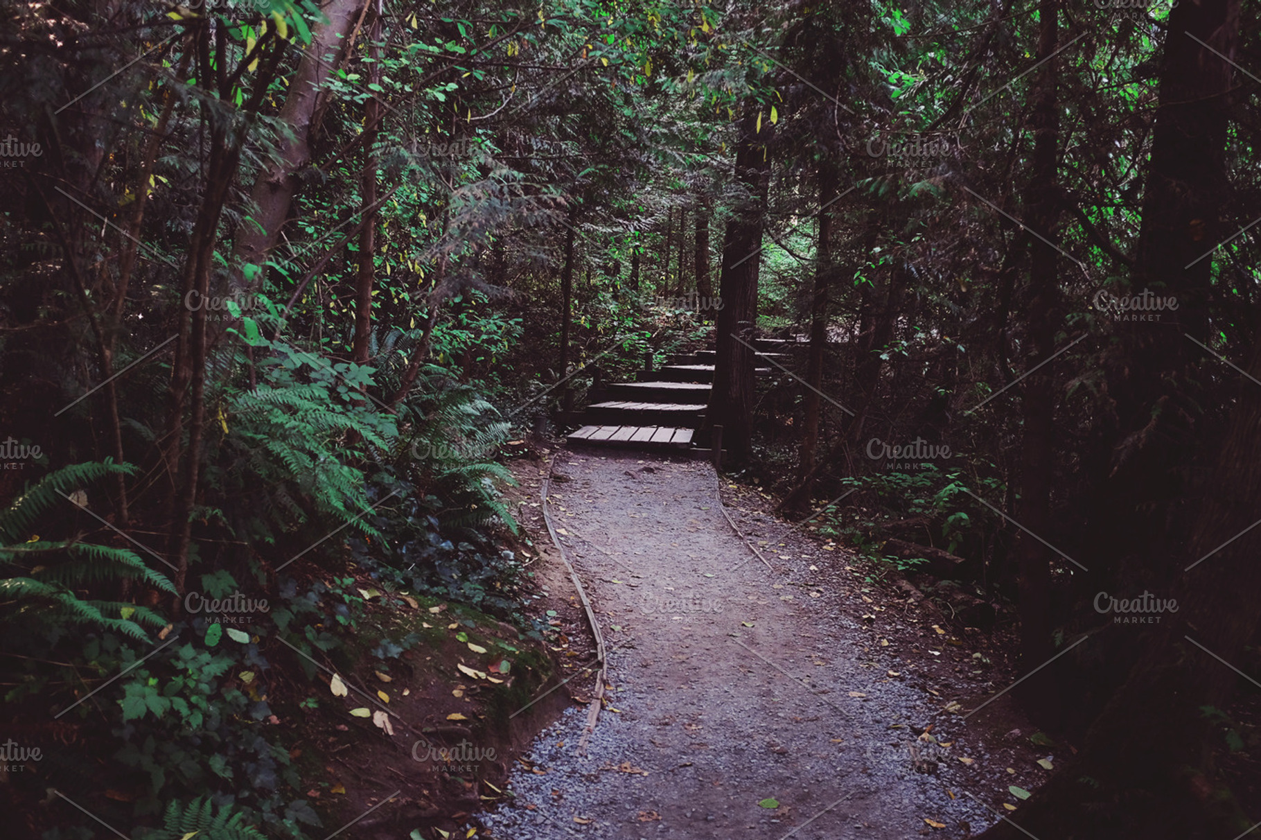 Natures Steps