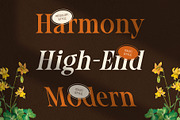 CS Ariela – Classic Font, a Serif Font by Craft Supply Co. (Thumbnail 2 of 8)