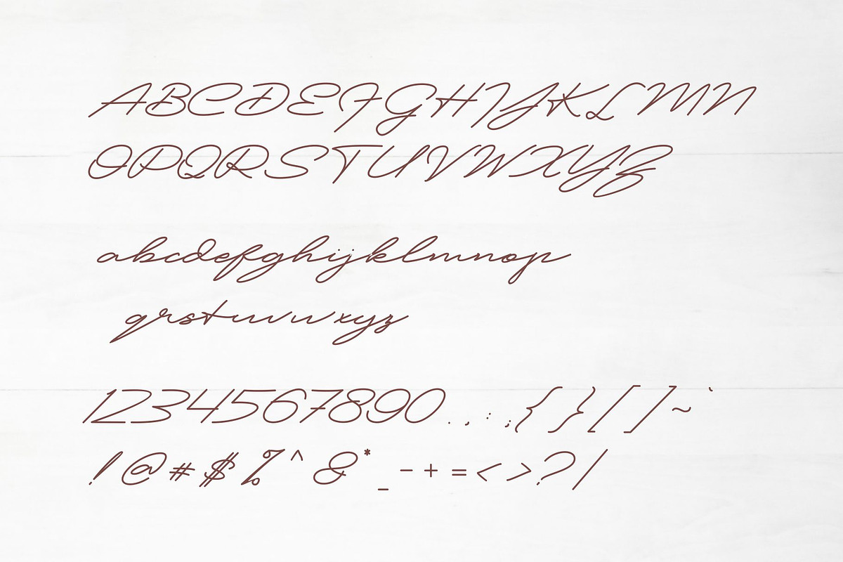 Patton Delicate Signature Typeface, a Script Font by takoliko (Photo 9 of 11)