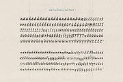 Botanicale | Handwritten Font, a Handwritten Font by type peace (Thumbnail 18 of 18)