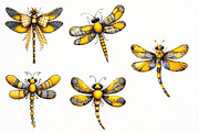 Summer Gingham Dragonfly Clipart, an Illustration by Designworld (Thumbnail 4 of 7)