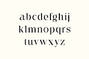 Allure Majestic Serif Family Font, a Serif Font by UICreative (Thumbnail 4 of 12)