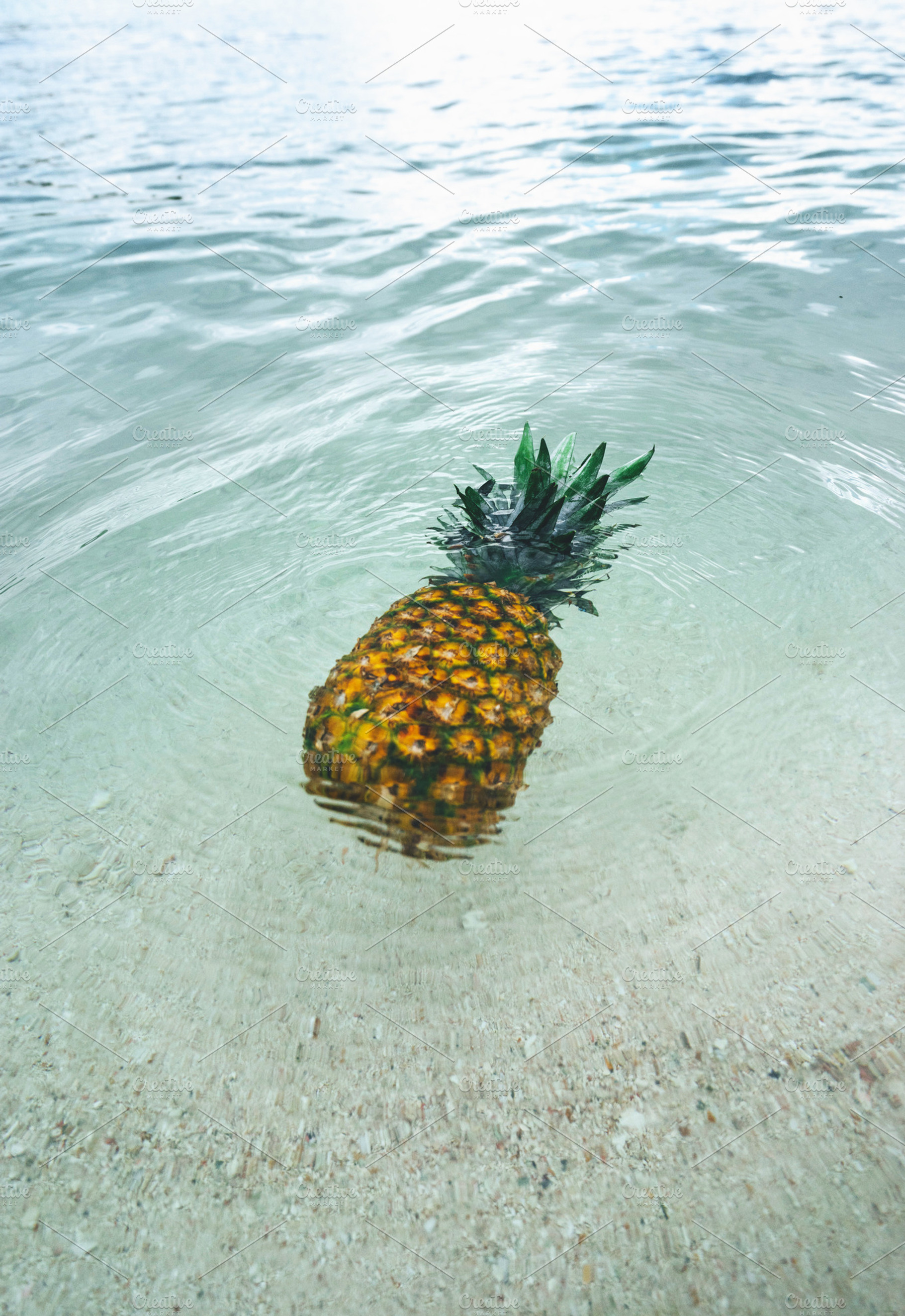 Pineapple at Beach in Mexico 10, a Nature Photo by Pineapple Shop