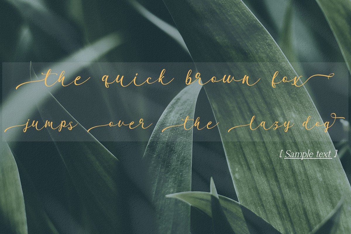 Garnita Script, a Script Font by ALIVECREATIVE (Photo 5 of 5)