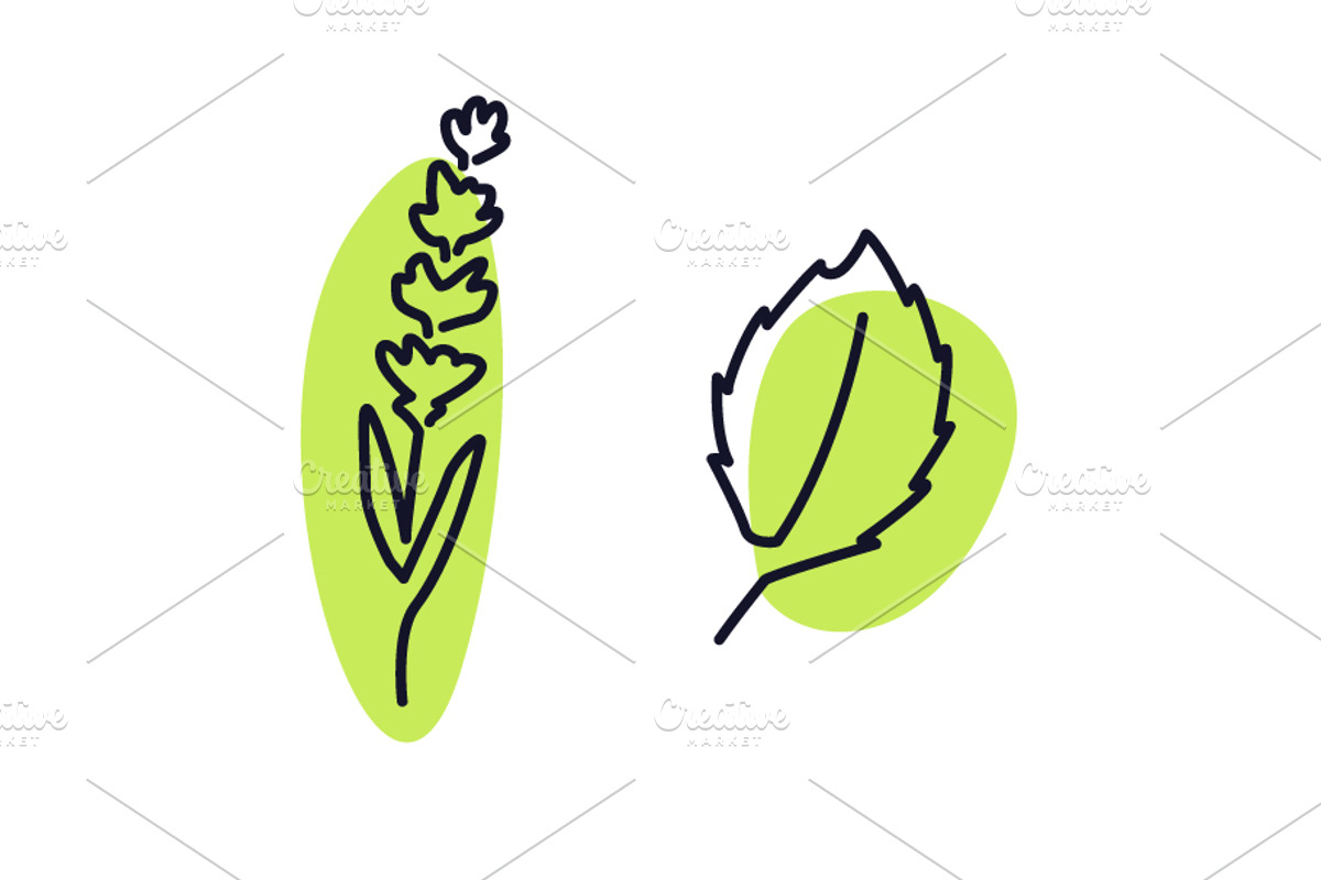Handdrawn Leaves Nature Concept, an Outline Icon by Black White Mouse Design (Photo 4 of 4)