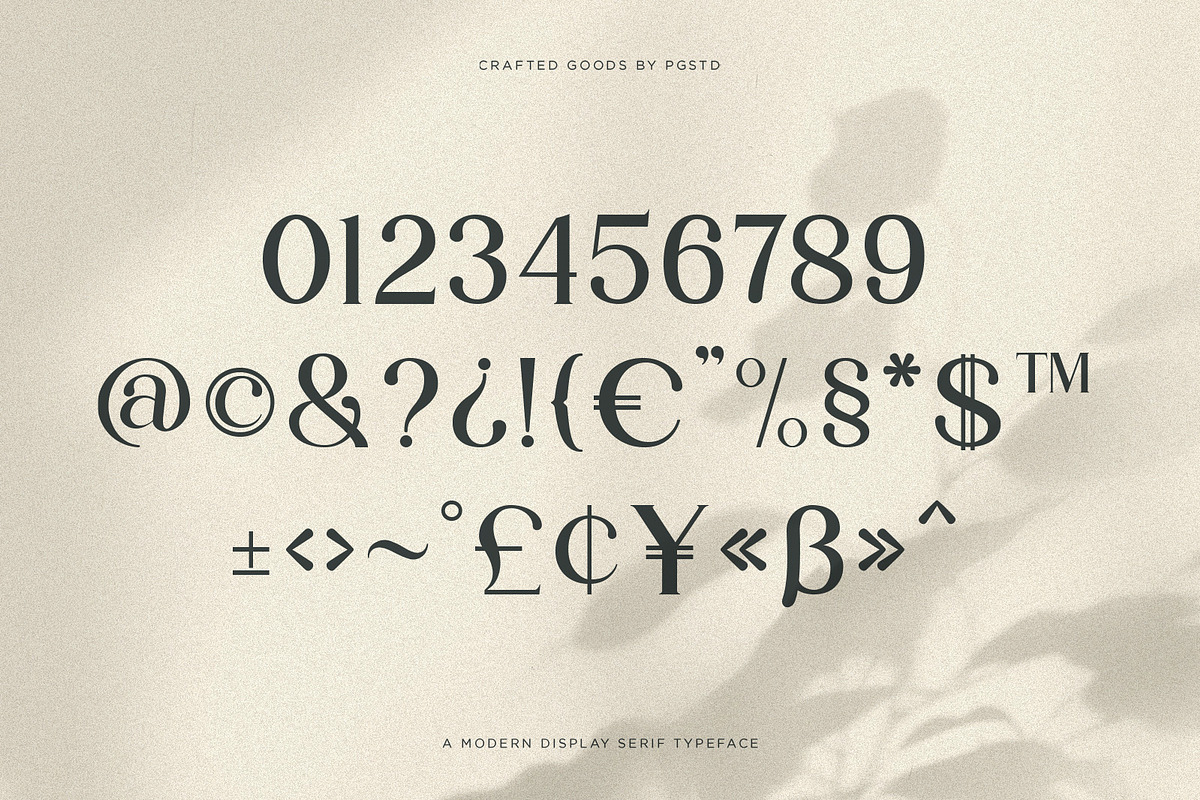 Partake | Modern Serif, a Serif Font by Pentagonistudio (Photo 10 of 10)