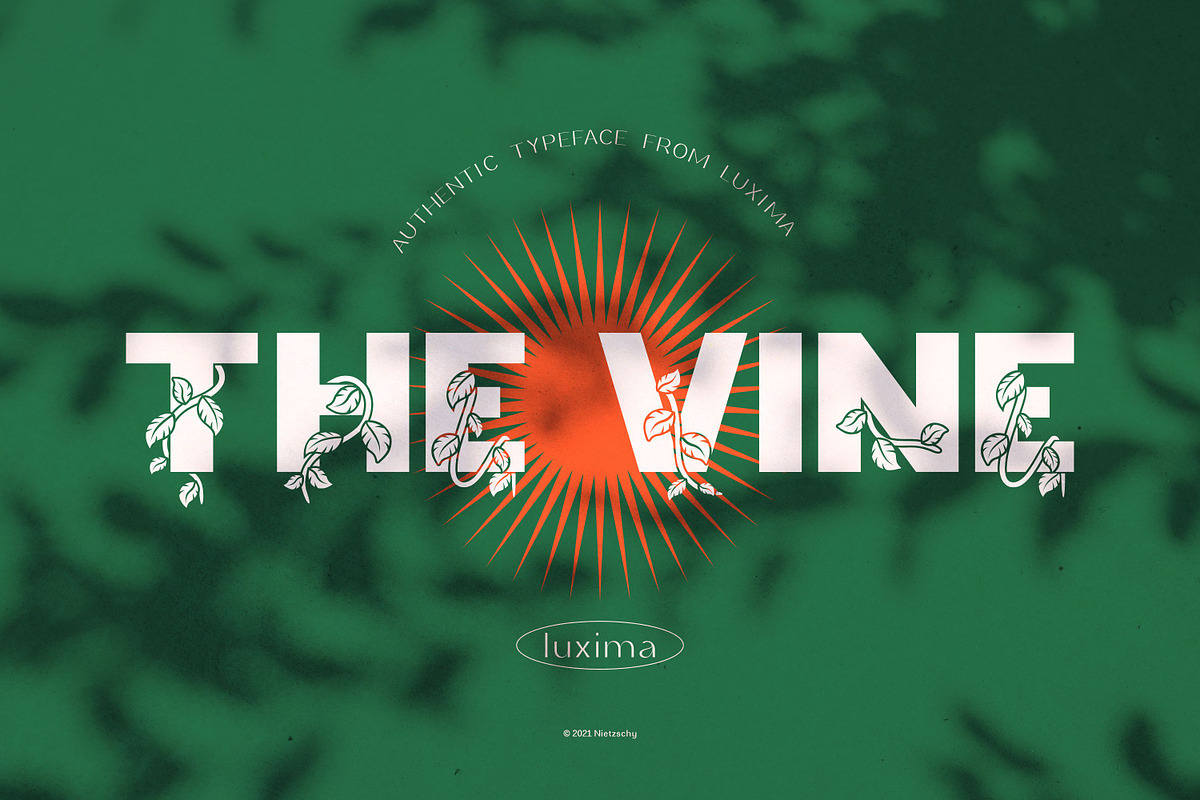 THE VINE DISPLAY FONT, a Sans Serif Font by Luxima (Photo 1 of 7)