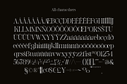 Mirage Glamorie - Elegant Serif, a Serif Font by Bring To Type (Thumbnail 8 of 9)