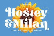 Hostey & Milan Groovy Serif, a Serif Font by timelesstype.co (Thumbnail 1 of 20)