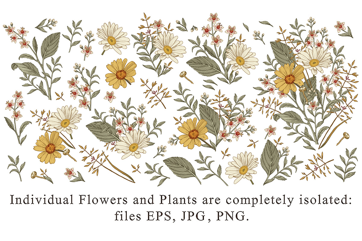 Set Seamless Flowers Chamomile daisy, a Pattern Graphic by Vintage (Photo 4 of 17)
