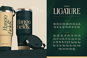 Herjuna, a Serif Font by Burntilldead (Thumbnail 10 of 12)