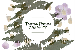 Pressed Flowers PNG Graphics