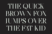 CS Salsa – Elegant Serif Font, a Serif Font by Craft Supply Co. (Thumbnail 4 of 8)