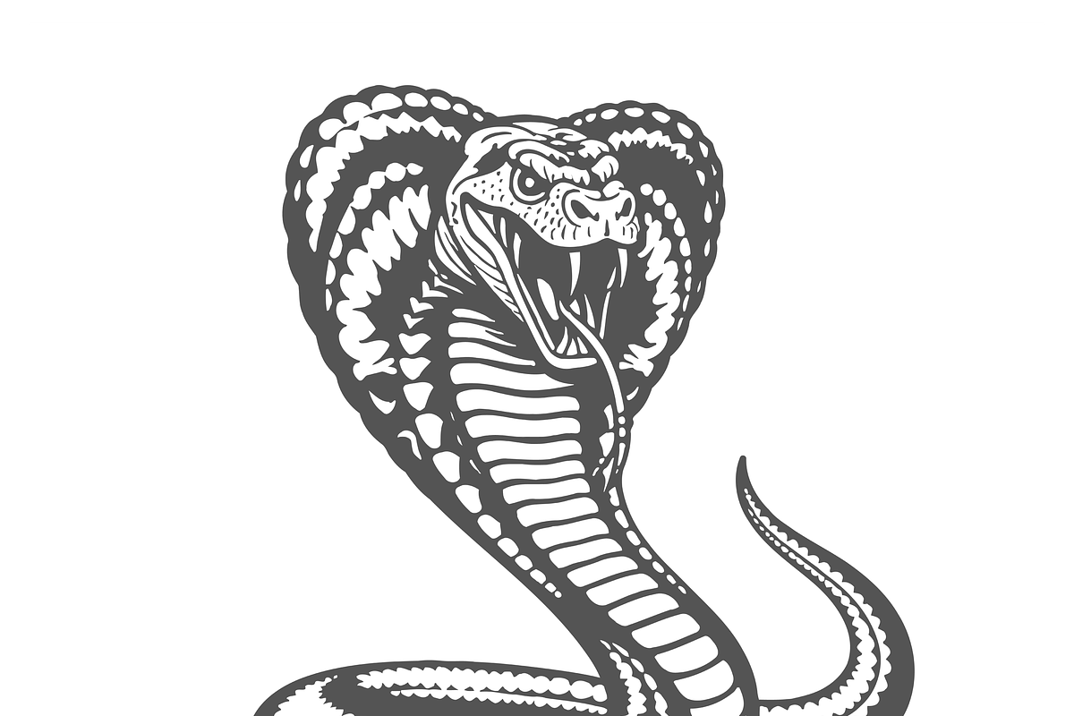 Majestic Cobra Illustration, an Object Illustration by CarWrap design (Photo 3 of 3)