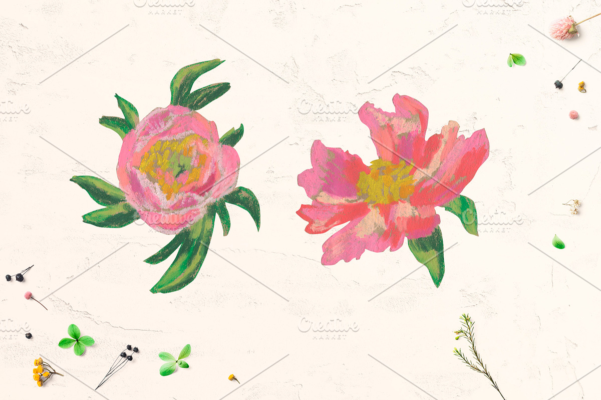 Peonies Clipart, an Illustration by Lucyinyourheart (Photo 4 of 5)