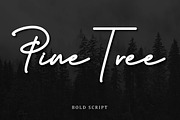 Lovely Script Bundle, a Script Font by Digital Hustler (Thumbnail 6 of 33)