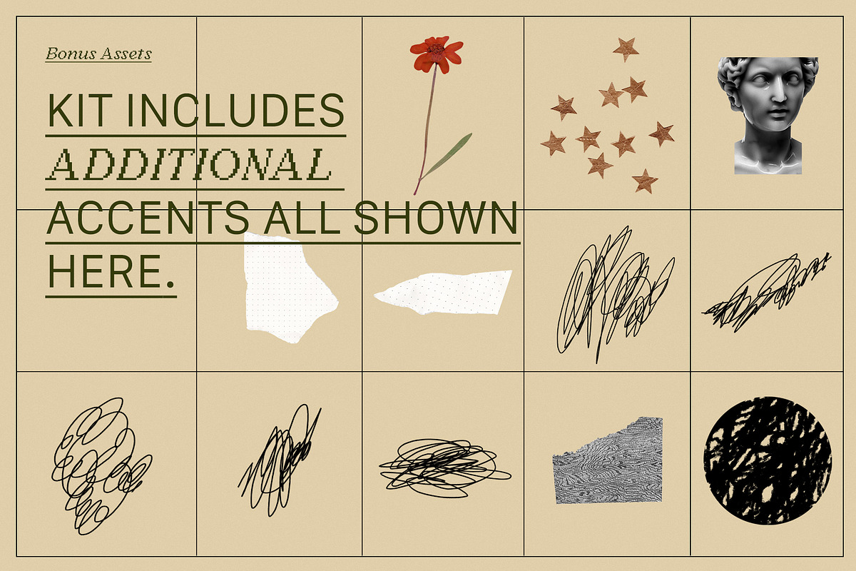 PRESSED BLOOMS Floral Cutouts, an Object Graphic by Desert Poetic (Photo 7 of 7)