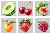 Watercolor Summer Fruit Clipart, an Illustration by Black Bird Studio (Thumbnail 3 of 5)