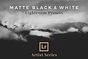 Matte Black &White Lightroom Presets