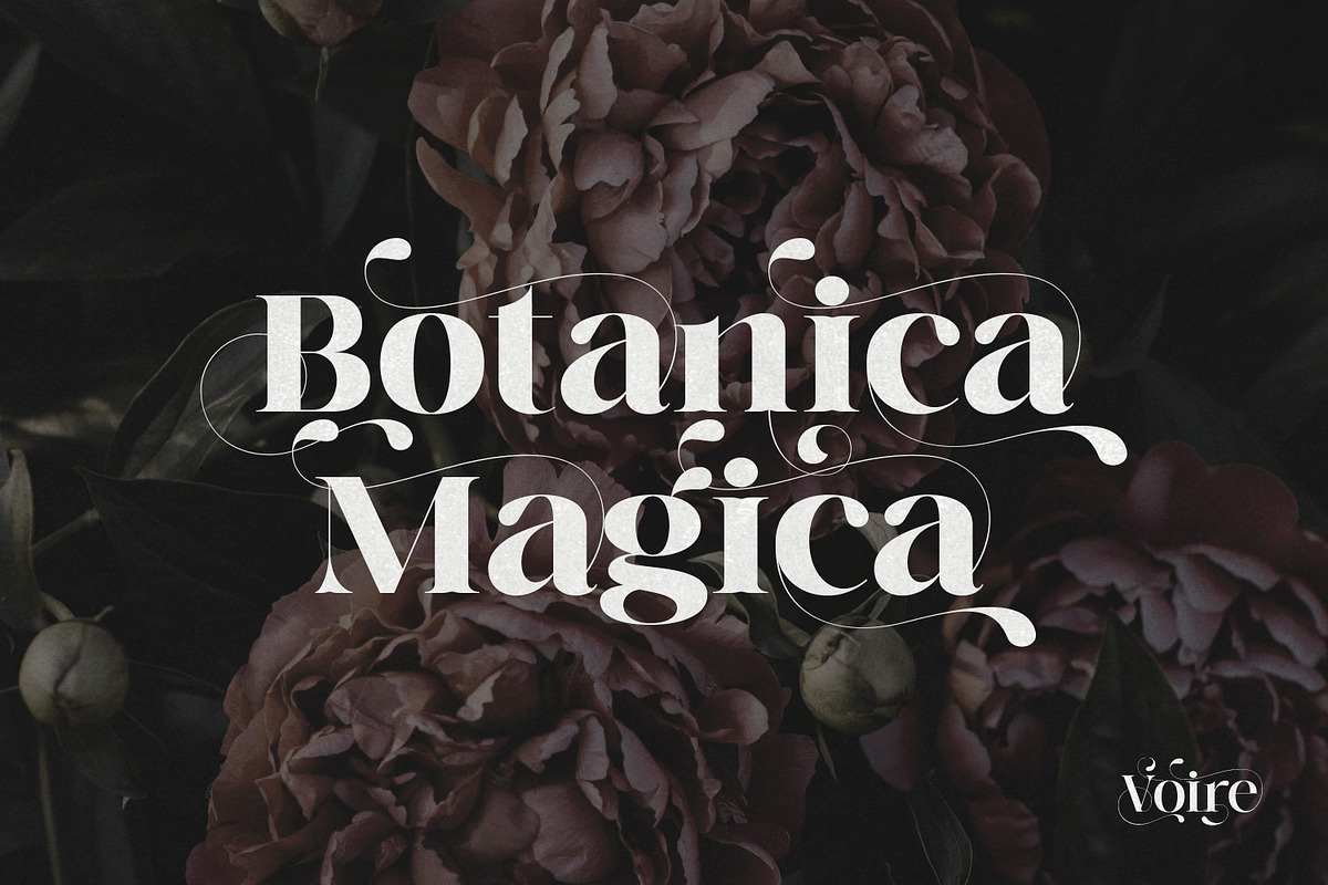 Voire - Elegant Serif family, a Serif Font by creativemedialab (Photo 10 of 21)