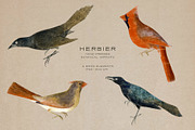 Hand-Pressed Botanical Imprints, an Object Graphic by alonahaidash (Thumbnail 7 of 13)