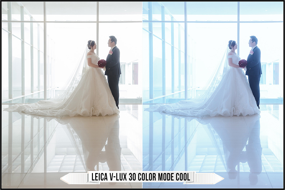 Leica Film Styles, a Plug-in Add-On by Raztrend (Photo 20 of 30)