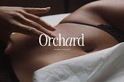 Retroscope / Vintage Modern Serif, a Serif Font by supfonts (Thumbnail 2 of 12)