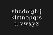 Ultimate Kingdom Display Serif Font, a Serif Font by UICreative (Thumbnail 2 of 13)